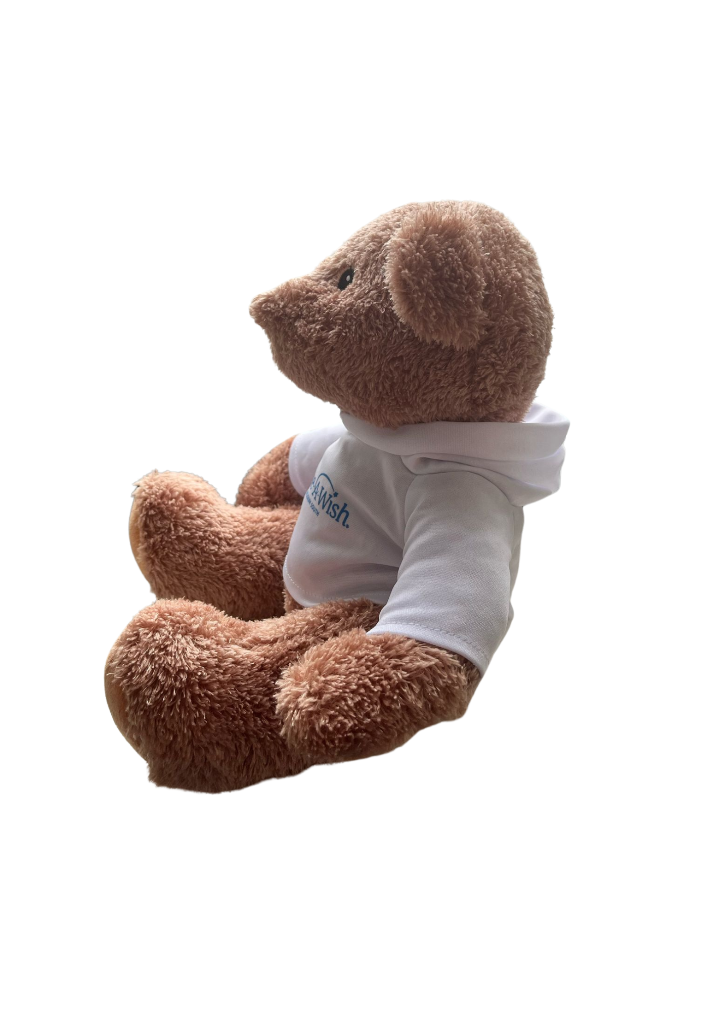 Ours en peluche