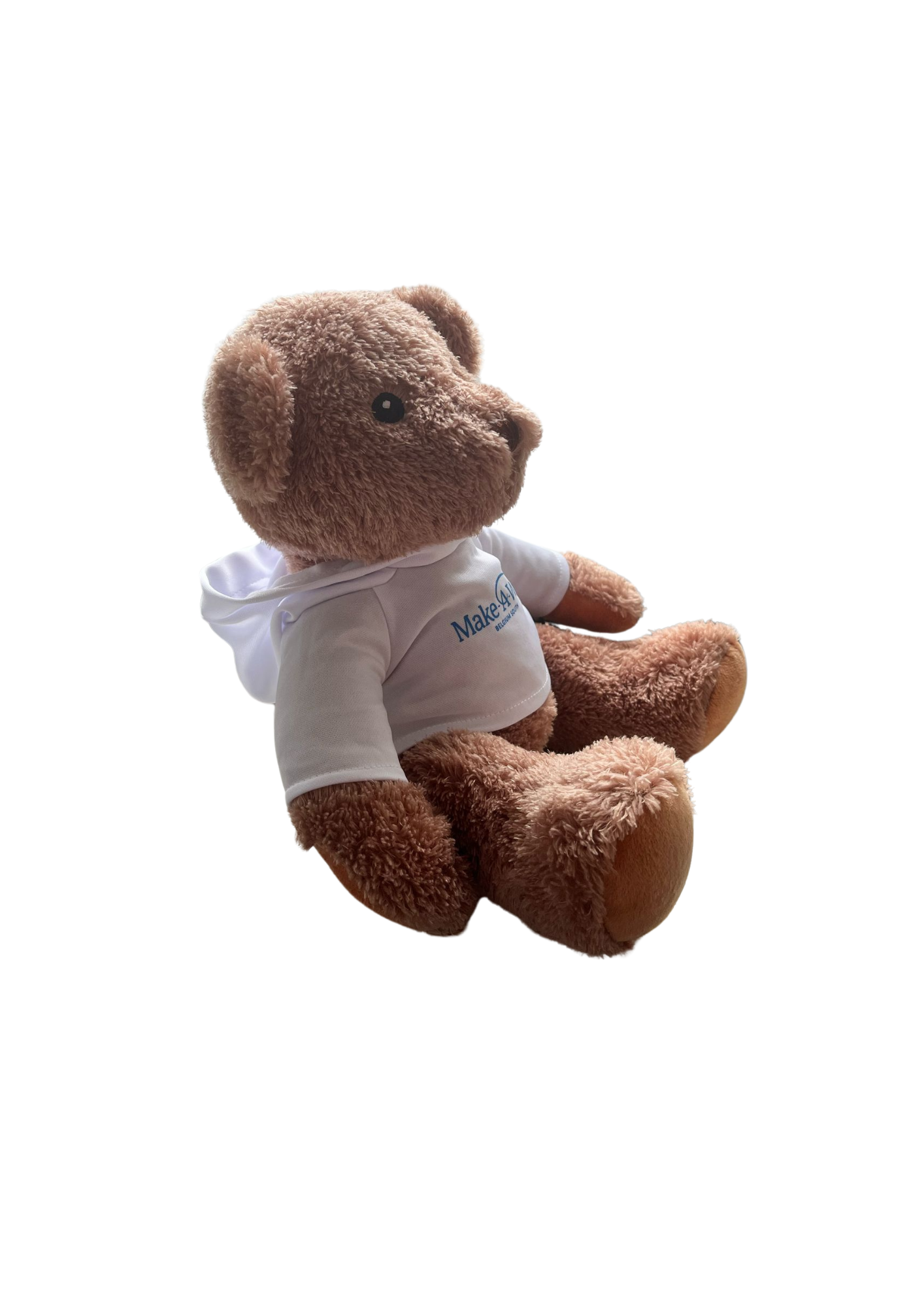 Ours en peluche